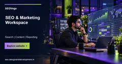 SEOVega website preview